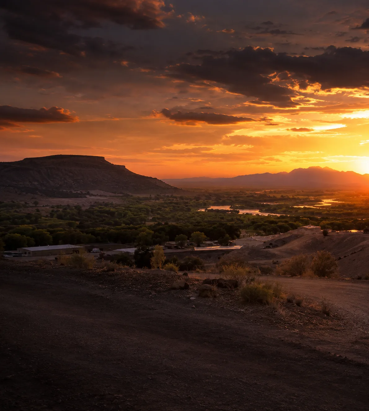 Victoria Cole at sunset in Los Lunas, New Mexico